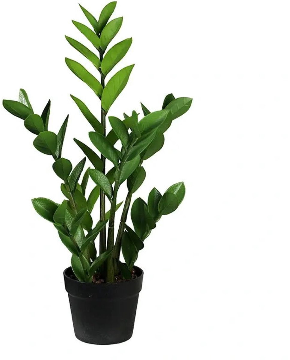 Buitengewoon Boet Zamioculcas kunstplant, 75 cm