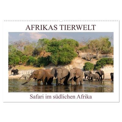 Afrikas Tierwelt, Safari im südlichen Afrika (Wandkalender 2027 DIN A2 quer), CALVENDO Monatskalender