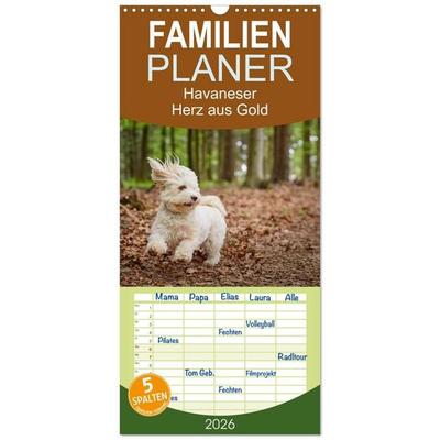 Familienplaner 2026 - Havaneser - Herz aus Gold mit 5 Spalten (Wandkalender, 21 x 45 cm) CALVENDO