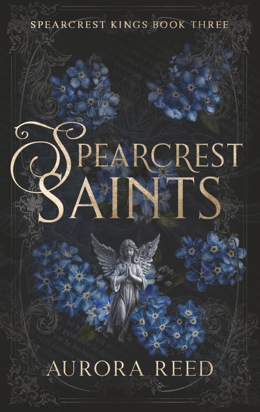 Aurora Reed - Spearcrest Saints: An Academic Rivals to Lovers Romance (Spearcrest Kings) - Preis vom 11.10.2026 15:43:13 h