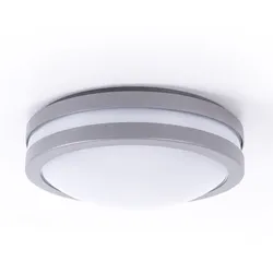 Außenwandleuchte Außenlampe Wandlampe Deckenleuchte Deckenlampe Hauswand, Sprachsteuerung dimmbar Timer IP44, Stahl silber, 1x LED 14W 1440Lm 3000K, DxH 26x9,5cm