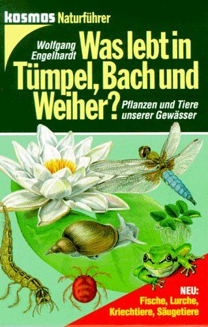 Wolfgang Engelhardt - Was lebt in Tümpel, Bach und Weiher? - Preis vom 30.09.2026 09:01:18 h