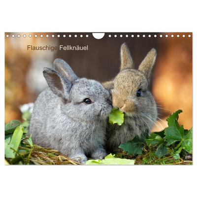 Flauschige Fellknäuel (Wandkalender 2026 DIN A4 quer), CALVENDO Monatskalender