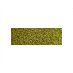 Keilbach Designprodukte Keilbach Schuhabstreifer, 87 x 28 cm, grün