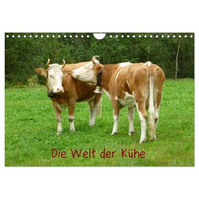 Die Welt der Kühe (Wandkalender 2027 DIN A4 quer), CALVENDO Monatskalender