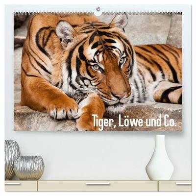 Tiger, Löwe und Co. (hochwertiger Premium Wandkalender 2027 DIN A2 quer), Kunstdruck in Hochglanz