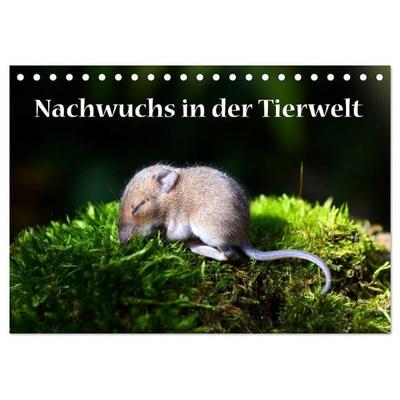 Nachwuchs in der Tierwelt (Tischkalender 2026 DIN A5 quer), CALVENDO Monatskalender