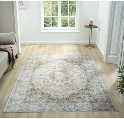Legacy Rug Legacy Alexandria Traditional Bordered Washable Area Rug