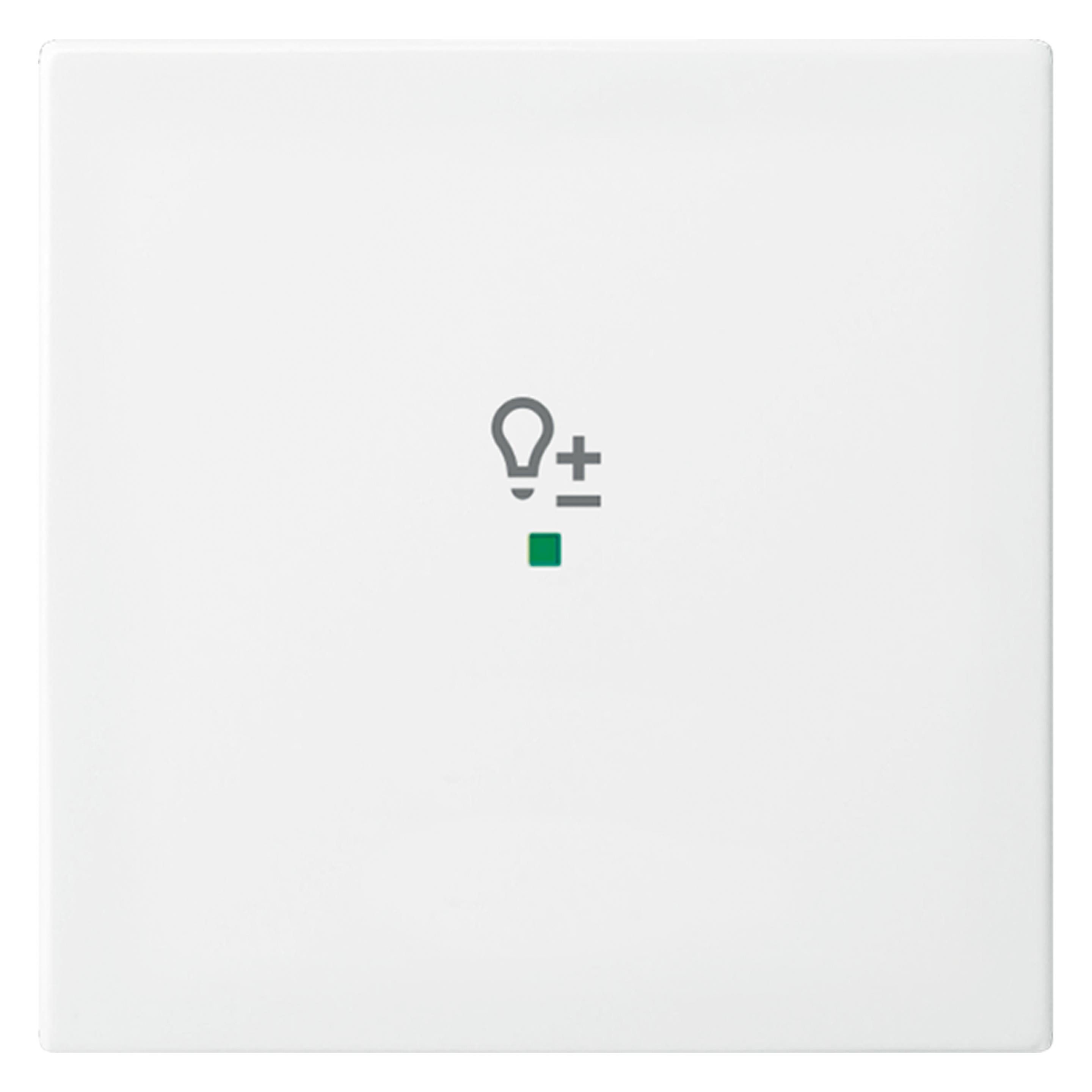 Busch-Jaeger Wippe (2CKA006220A0359)