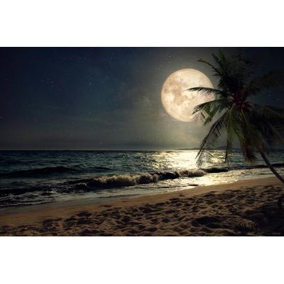 Fototapete PAPERMOON "STRAND-NATUR PALMEN MEER DÜNEN MOND PALME LANDSCHAFT", bunt, B:2,5m L:1,86m, Vlies, Tapeten