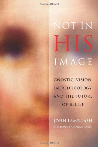 Lash, John Lamb - Not in His Image: Gnostic Vision, Sacred Ecology, and the Future of Belief - Preis vom 09.10.2026 07:28:09 h
