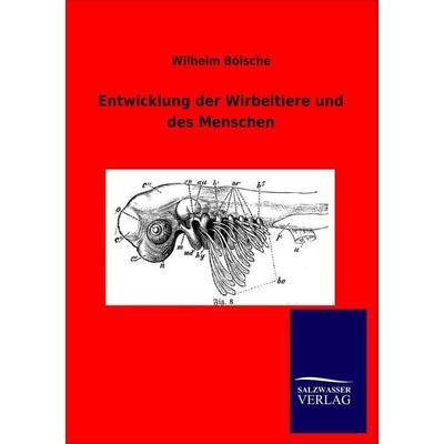 Entwicklung der Wirbeltiere und des Menschen, Taschenbuch von Wilhelm Bölsche, Salzwasser, 978-3-8460-0439-5