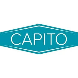 Capito Luftrad Rad-Ø 400 mm Radbreite 100 mm - 10501