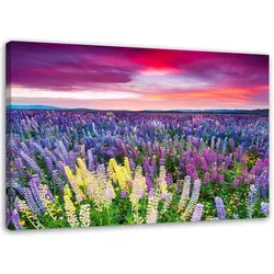 BILD AUF LEINWAND Blühende Wiese 100x70cm