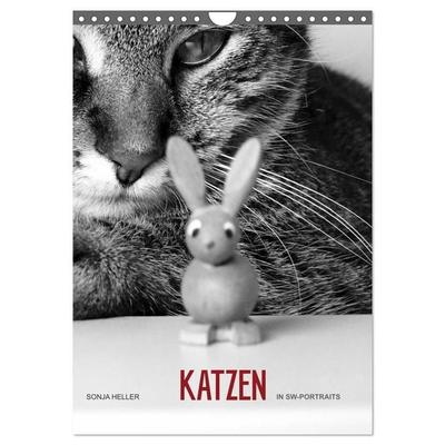 Sonja Heller Katzen in SW-Portraits (Wandkalender 2027 DIN A4 hoch), CALVENDO Monatskalender
