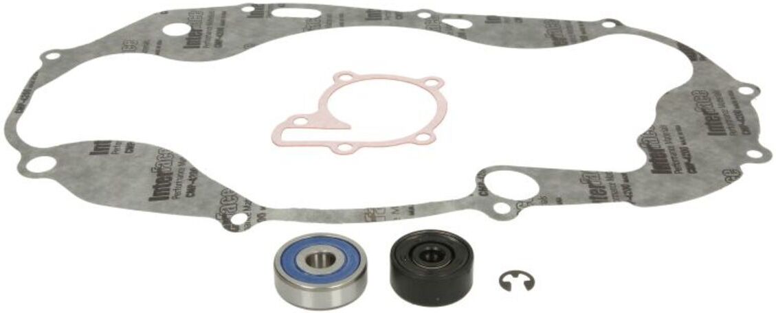 Pompe à eau WINDEROSA W821812