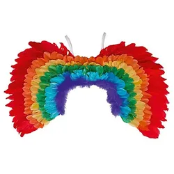 Feder-Flügel "Regenbogen", 60 x 40 cm