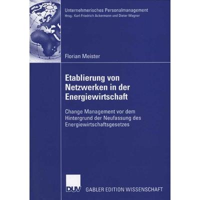 Etablierung von Netzwerken in der Energiewirtschaft, Taschenbuch von Florian Meister, Deutscher Universitätsverlag, 978-3-8350-0720-8