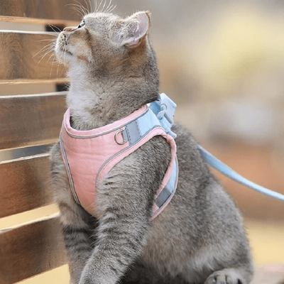 PetsAreLife Harness And Leash Escape Proof Luminous Cat Vest Pink 3XL