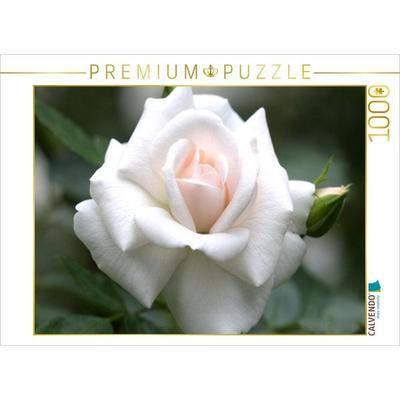 CALVENDO Puzzle Rose 'Gruß an Aachen' | 1000 Teile Lege-Größe 64x48cm Foto-Puzzle für glückliche Stunden
