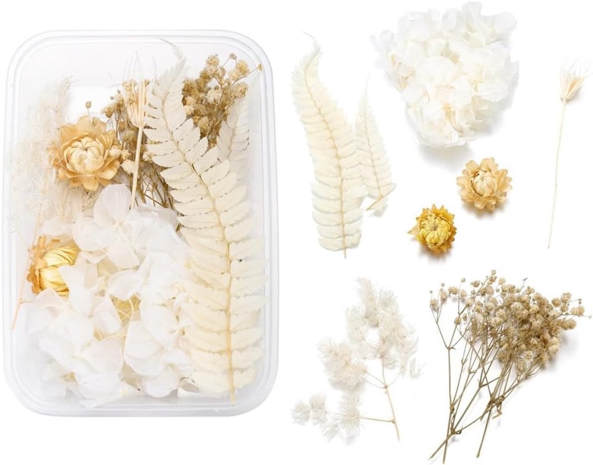 Gedroogde geperste bloemen voor DIY sieraden, kaarsen, nail art en scrapbooking