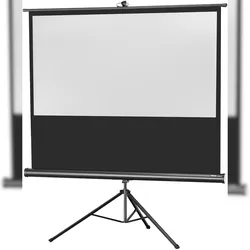 celexon Stativleinwand Economy 244 x 138 cm