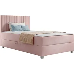 BOXBETT Viki - H3