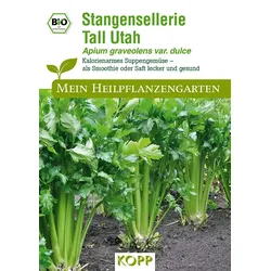 BIO Stangensellerie Tall Utah - Mein Heilpflanzengarten