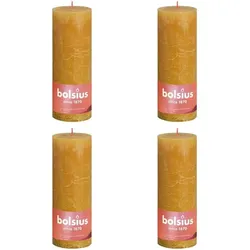 Bolsius, Kerzen, Andres (4x)