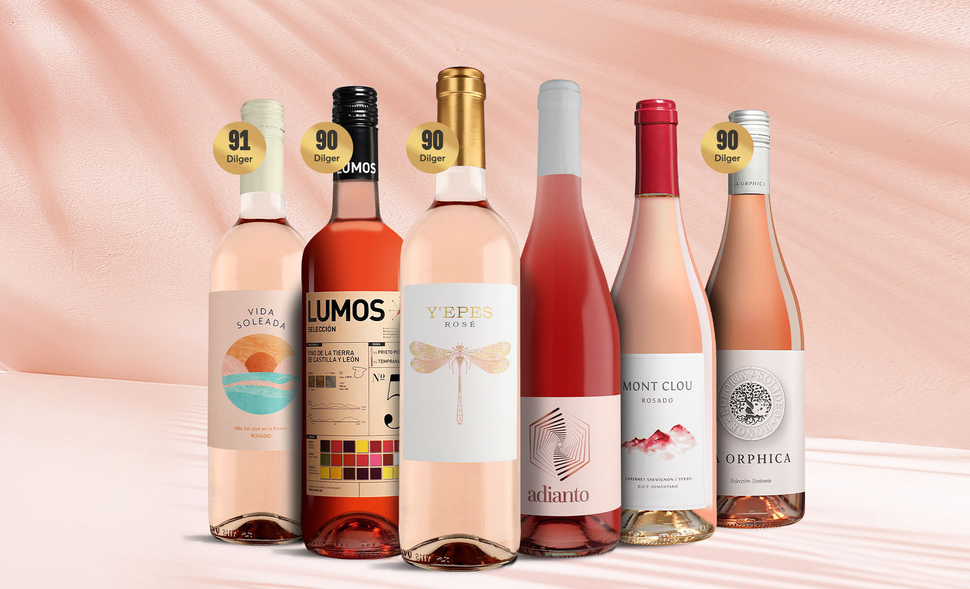 Rosado-Favoriten Weinpaket  aus Spanien