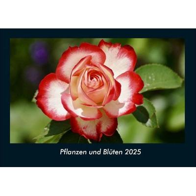 Pflanzen und Blüten 2025 Fotokalender DIN A4