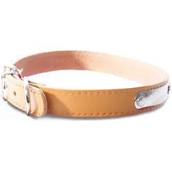 Martin Sellier Rive (Hund, Allgemein), Halsband + Leine