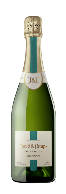 Juvé & Camps Cinta Xarel·lo 2022 - 75cl