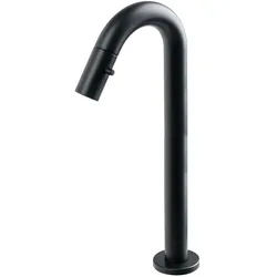 Plieger, Duscharmatur + Badewannenarmatur, Lupo 2.0 Toilettenarmatur