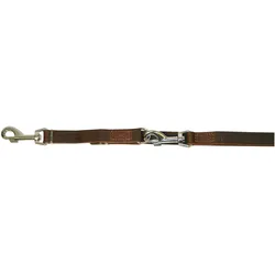 Kerbl VEGAS Führleine braun, 22 mm 240 cm, genäht, ausschnallbar (Hund), Halsband + Leine