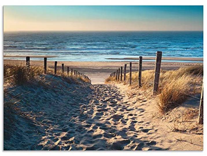 ARTland Spritzschutz Küchenrückwand aus Alu für Küche Herd Spüle 65x90 cm (BxH) mit Motiv Natur Strand Meer Weg Nordsee Sonne Gräser Dünenn Maritim T9IP