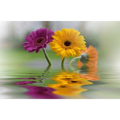 Fototapete PAPERMOON "BLUMEN-SCHNEEGLÖCKCHEN PFLANZEN REFLEXION DEKO ABSTRAKT", bunt, B:5m L:2,8m, Vlies, Tapeten