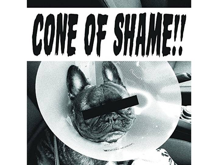 Cone of Shame