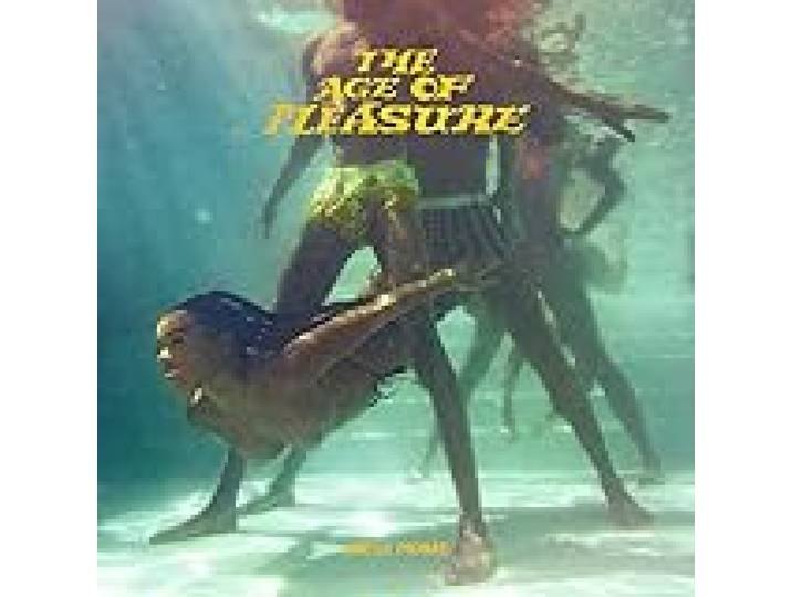 The Age of Pleasure