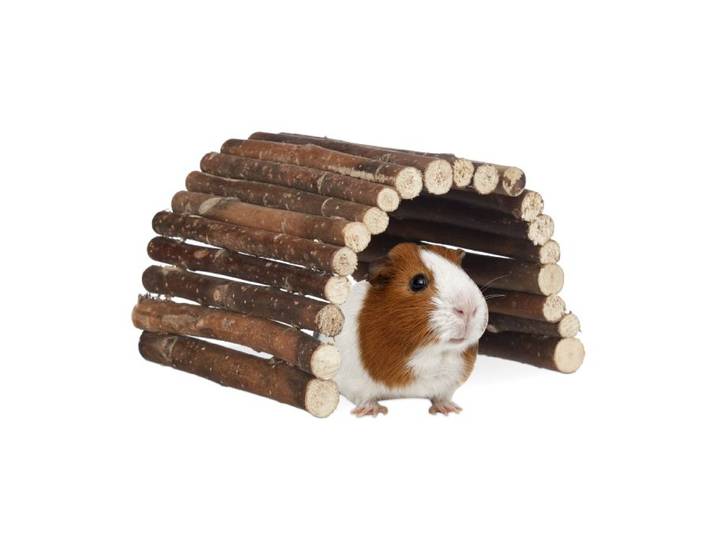 Relaxdays 3 x Nagerbrücke Holz für Kleintiere