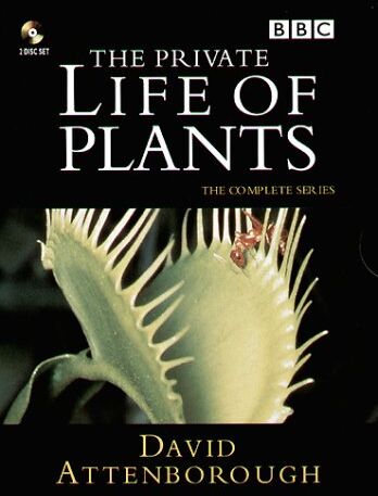 David Attenborough - The Private Life of Plants [UK Import] [2 DVDs] - Preis vom 13.10.2026 11:25:28 h