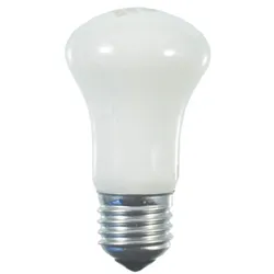 Scharnberger+Hasenbein Kryptonlampe 75x125mm 43007