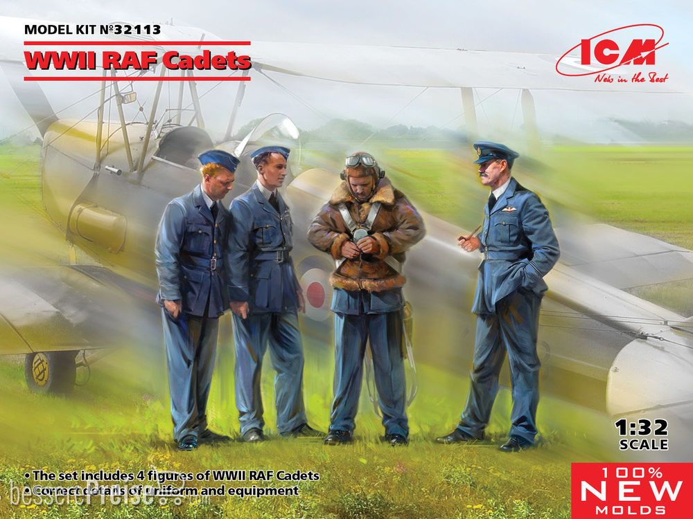 ICM 32113