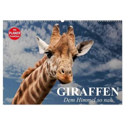 Giraffen. Dem Himmel so nah (Wandkalender 2027 DIN A2 quer), CALVENDO Monatskalender