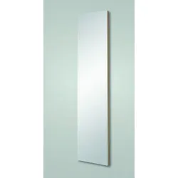 Voss Solo Spiegel 110