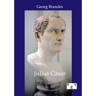 Julius Cäsar, Taschenbuch von Georg Brandes, Europäischer Geschichtsverlag, 978-3-86382-543-0