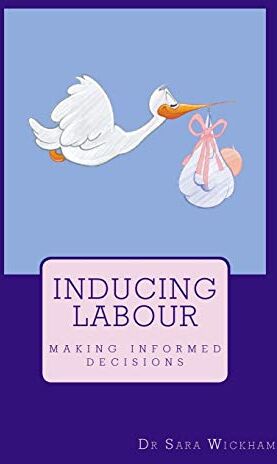 Sara Wickham - Inducing Labour: making informed decisions - Preis vom 01.10.2026 17:08:56 h