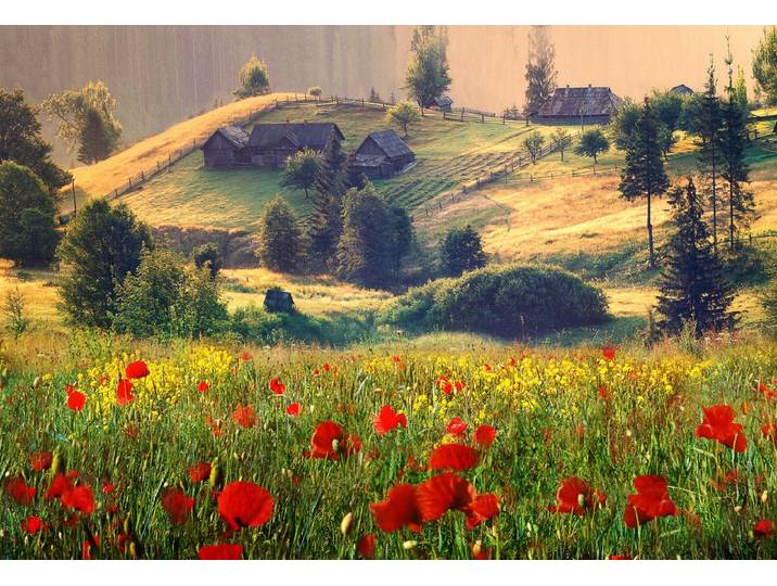 Fototapete PAPERMOON Neblige Sommerlandschaft , bunt, B:5m L:2,8m, Vlies, Tapeten, Fototapete
