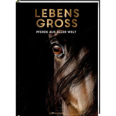 Lebensgroß - Pferde aus aller Welt, Gebundene Ausgabe von Susan Niessen, Coppenrath Verlag GmbH & Co. KG, 978-3-649-64649-5