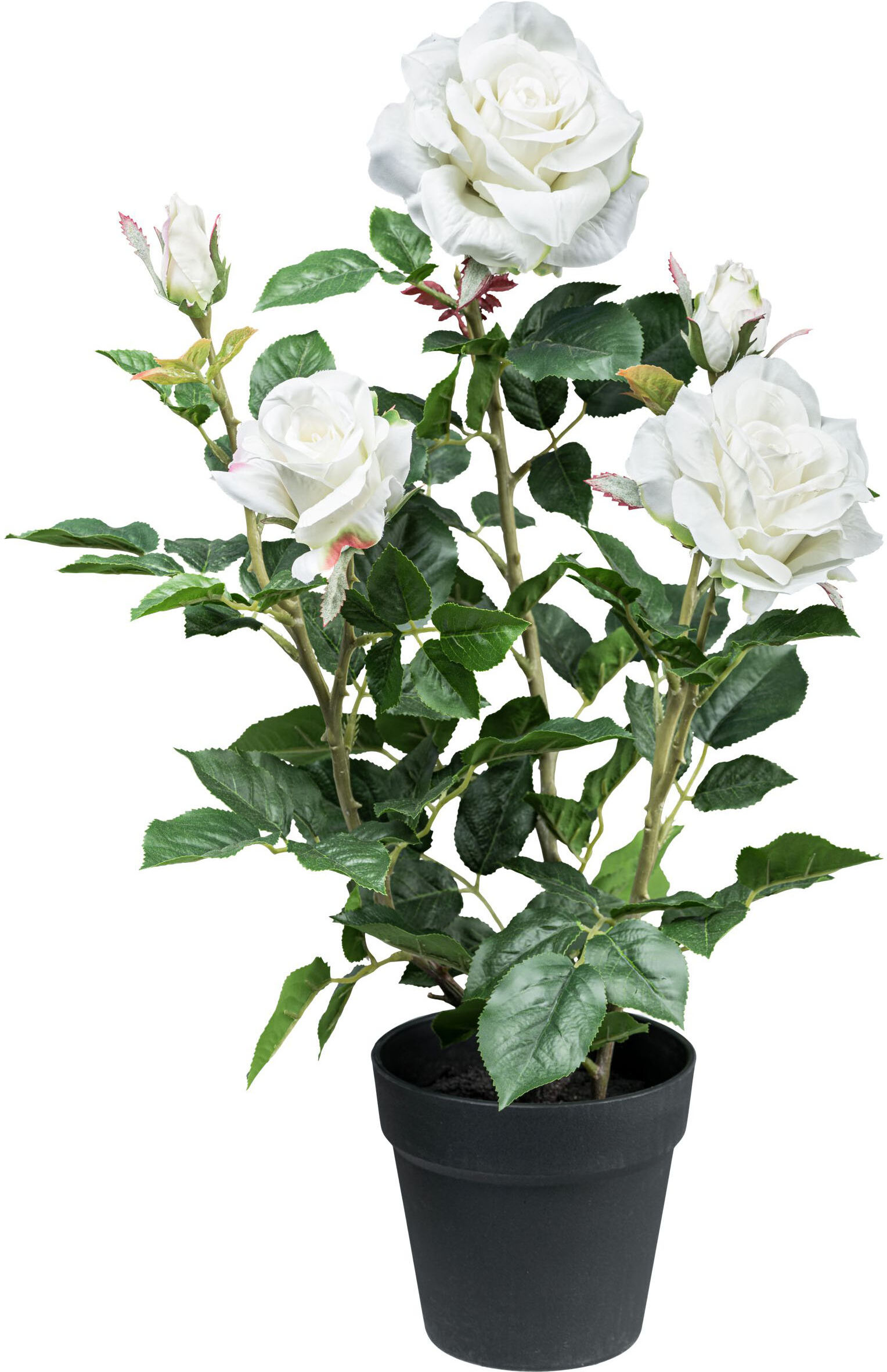 Kunstblume CREATIV GREEN "Rosenbusch", weiß, H:58cm, Kunstpflanzen, Kunstblume, mit 3 Blüten und 2 Knospen